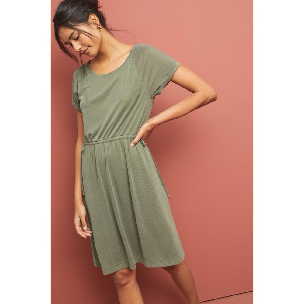 Anthropologie Saturday Sunday Waisted Cupro Dress